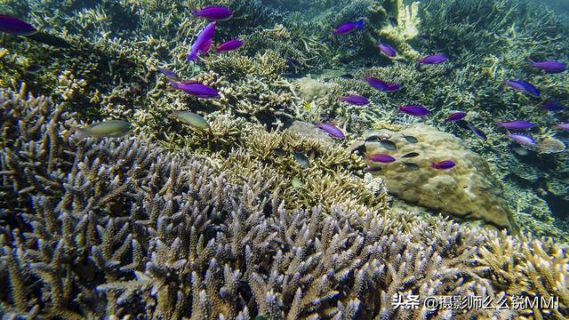梦幻天堂游戏手机版下载，梦幻天堂经营手游官网最新版下载安装安卓版appv45.0.2（我才明白什么叫做梦幻天堂）