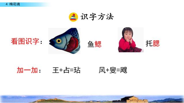 梅花魂的意思，部编版五年级下册第4课《梅花魂》图文讲解+知识点梳理
