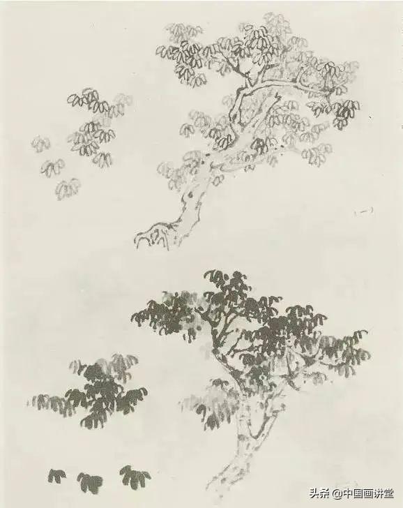 大树怎么画，大树怎么画的特别好看（缠枝、挺杆、屈节、钮裂、一棵树如何画）