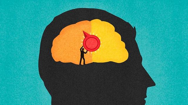 左脑型思维者介绍，左脑脑型思维者的特点（决定了你是什么样的一个人）