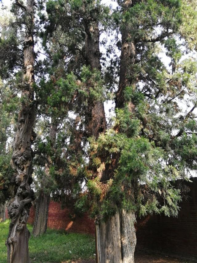 东汉天降陨石，刘秀坟的传说