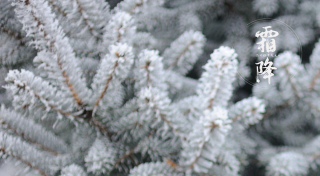 关于霜降的诗句 古代诗人写霜降的诗词，关于霜降的诗句（欣赏最后秋天的美景）