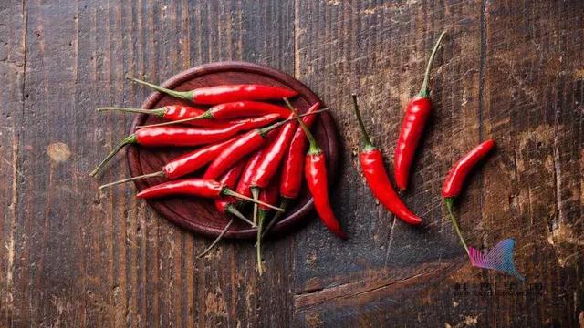 为什么说辣是一种痛觉而非味觉，为什么说辣是一种痛觉而不是味觉（原来辣不是一种味道而是一种“痛觉”）