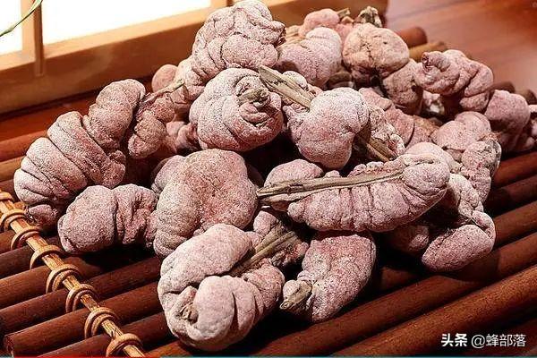 竹黄的功效与作用，竹黄泡水喝有什么功效（不认识的把它当“病虫害”处理）