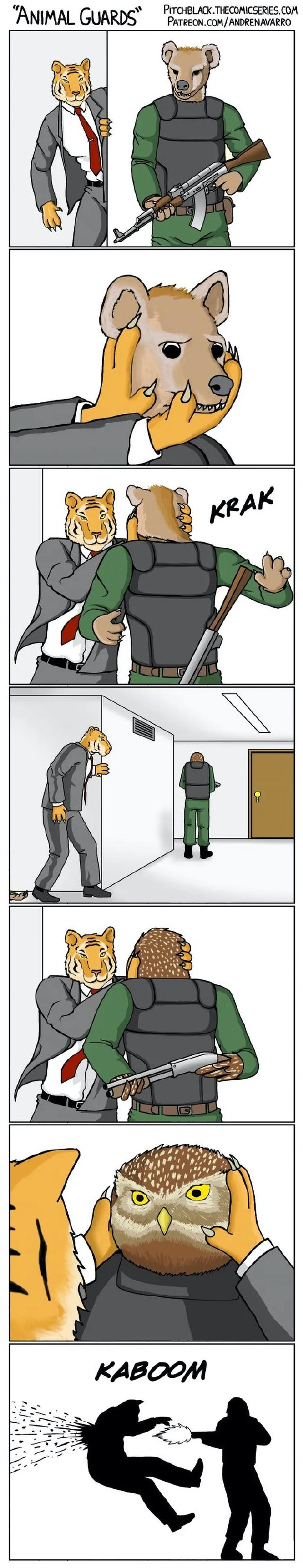 养雪鸮犯法吗，宠物雪貂多少钱一只（猫头鹰的构造原来这么奇葩）