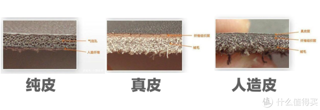 绵羊皮、山羊皮、牛皮等皮衣材质怎样区分，怎样区分皮衣是山羊皮还是绵羊皮（不知道怎么选购皮衣）