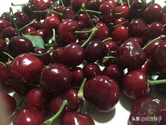 车厘子和樱桃的区别，车厘子和樱桃是同一种水果吗（车厘子和樱桃到底有何区别）