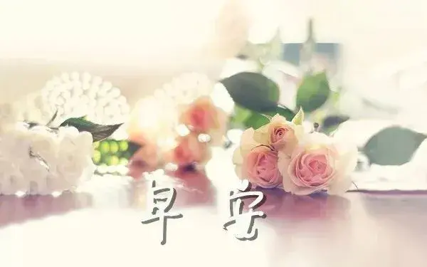 如此甚好是什么意思，生活如此甚好是什么意思（浅浅欢喜，淡淡相交，如此甚好）