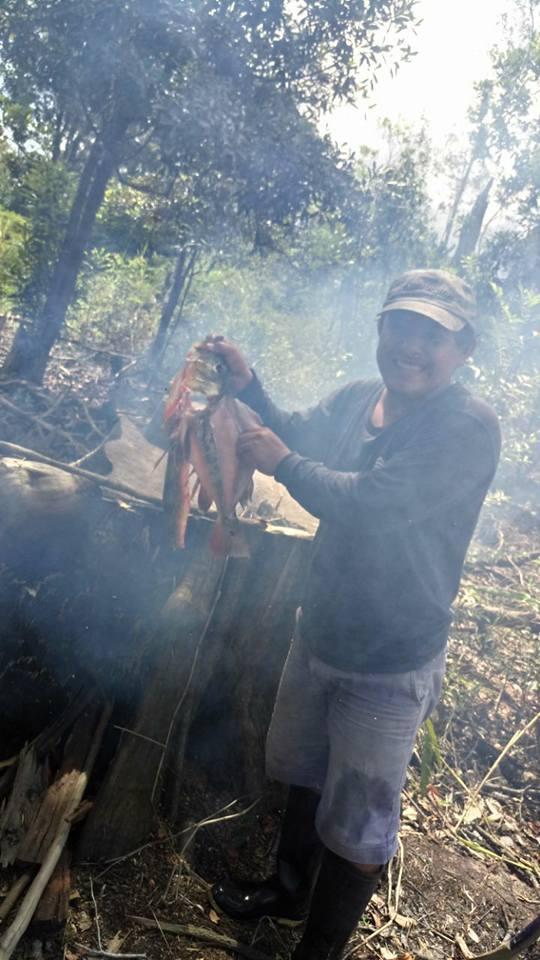 帝王三间和巴西亚鱼有什么区别，巴西亚鱼与皇冠三间鱼有什么区别（也许等不到中国钓鱼人就被消灭光了）