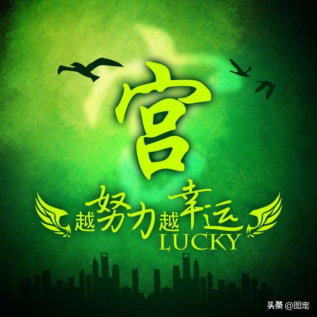 多幸运在最美的年纪遇见你，多幸运，在最美的年纪遇见你（一款以绿色为背景的微信头像悄悄送给你）