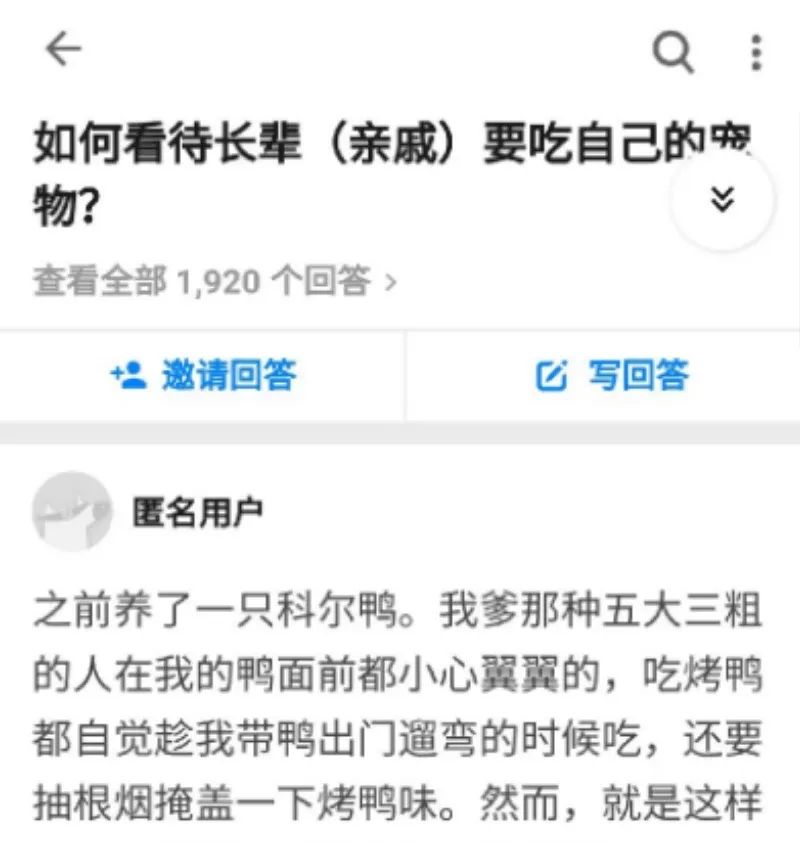 网红鸭说明书图片