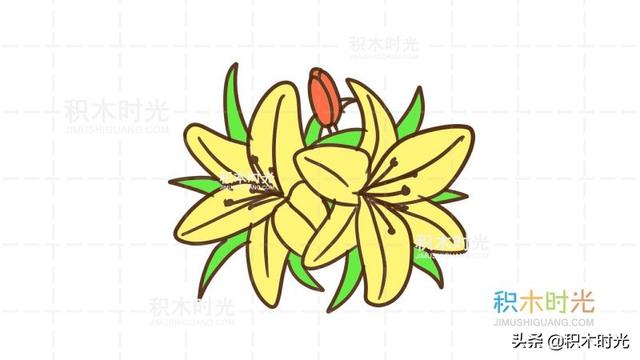 百合花的简笔画，如何画漂亮的简笔百合花（百合花简笔画教程）