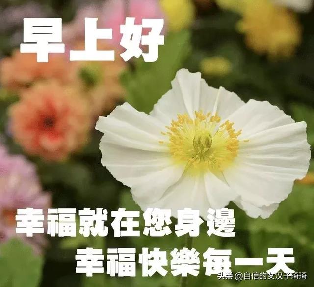 愿岁月静好温暖如初，岁月静好,温柔如初（2019年11月3日）