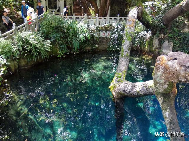 蝴蝶泉在哪里，蝴蝶泉在哪里打一个数字（大理蝴蝶泉没有真蝴蝶）