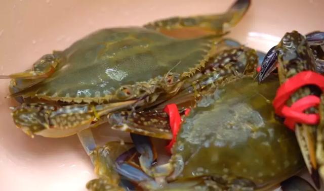 螃蟹蘸料怎么调好吃，清蒸螃蟹的蘸料怎么弄（大闸蟹吃了还想吃）