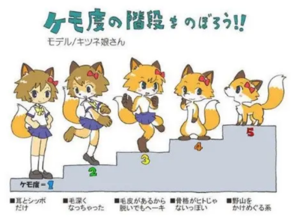 借着B站热门新番《BNA》，科普一下什么是Furry（上篇）