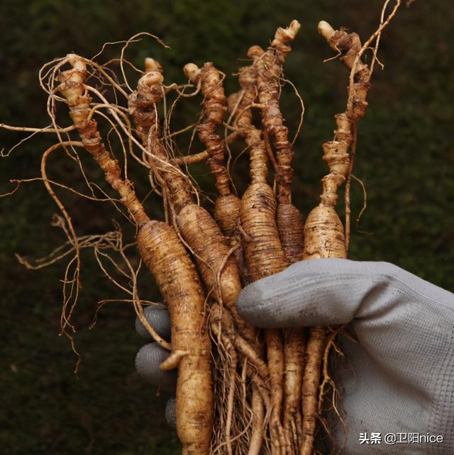 直播带货供货商怎么谈卖货，直播带货供货商怎么谈卖货话术？