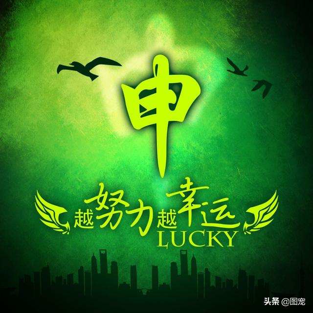 多幸运在最美的年纪遇见你，多幸运，在最美的年纪遇见你（一款以绿色为背景的微信头像悄悄送给你）