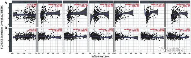 excel左右拉条不见了，excel的左右滚动条不见了（单基因泛癌免疫分析）