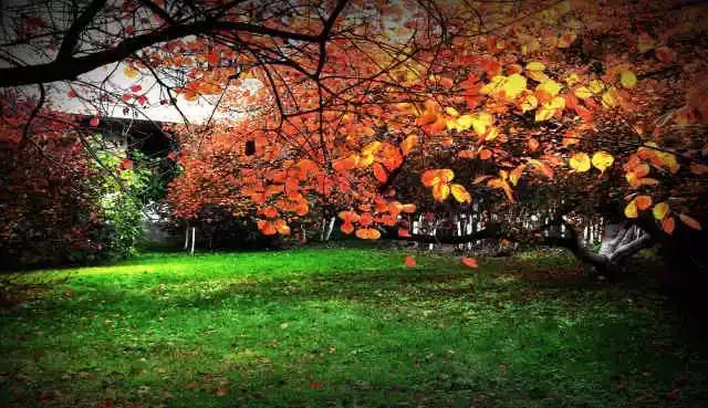 辽东学院宿舍条件怎么样，辽东学院宿舍几人间（辽宁省普通高等院校）