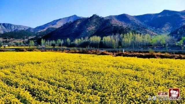 卫辉古村落免费景点，卫辉传统古村落乡村游成功入选国家乡村旅游学习体验线路300条