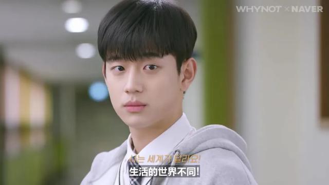 茶道赛高什么梗，高级茶艺师 什么梗（原来小狼狗竟是她）