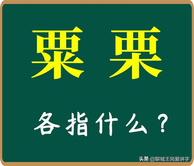 栗米是什么，栗米是什么本（“粟”和“栗”各指什么）