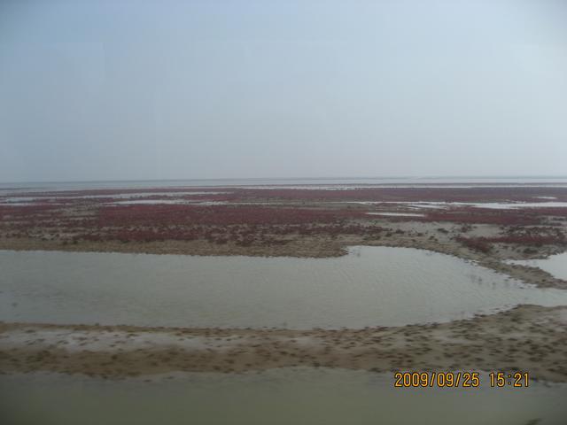 黄河入海口在哪个城市，黄河入海口在哪里（但你见过黄河入海口吗）