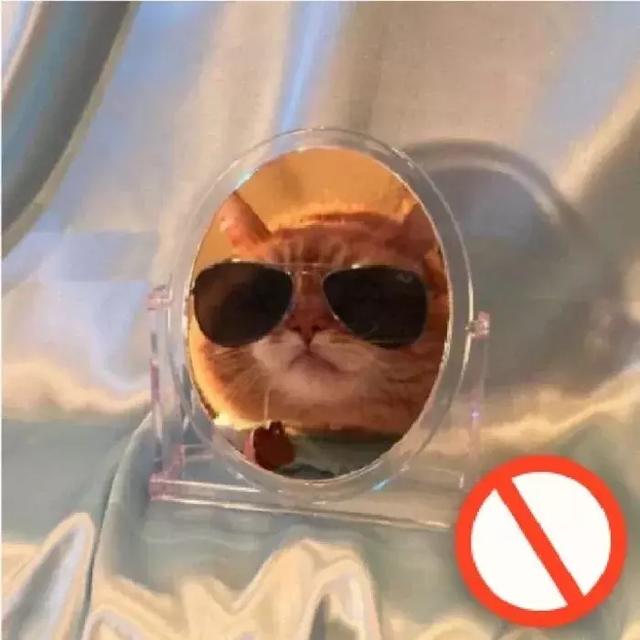 单身汪专用情头，微信头像，单身汪专用情头（超级甜的100张情侣头像拿好不谢）