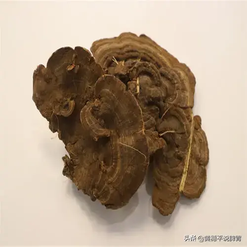 灵芝有几种颜色，灵芝有多少种类（灵芝的五色六类）