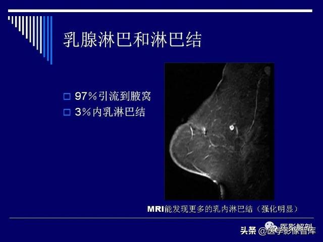 乳房解剖学基础知识，乳腺解剖及乳腺各病变影像诊断与鉴别