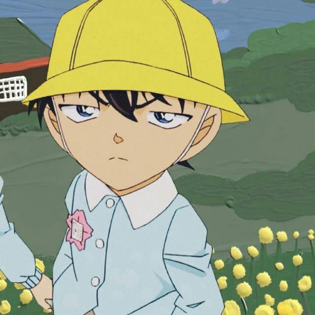 新兰情头一对两张，爱了爱了，微信头像，新兰情头一对两张，爱了爱了（start）