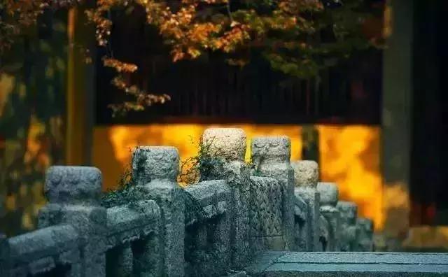 一叶障目的道理，一叶障目告诉我们什么道理（10句经典老话）