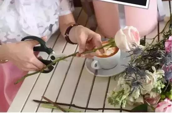 玫瑰花插花的技巧有哪些，怎么样插玫瑰花（这些在家插花的小技巧你get到了吗）