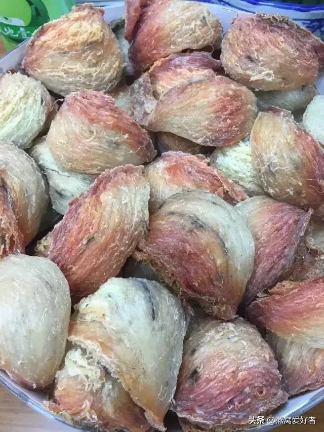 血燕是什么,血燕是什么味道(血燕是燕子吐血而成) 血燕是什么,血燕是什么味道(血燕是燕子吐血而成)