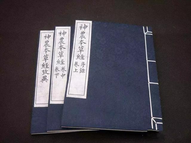 石斛的功效与作用适合哪些人，铁皮石斛的功效与作用适合哪些人（铁皮石斛简介丨科普大赛参赛作品展播）