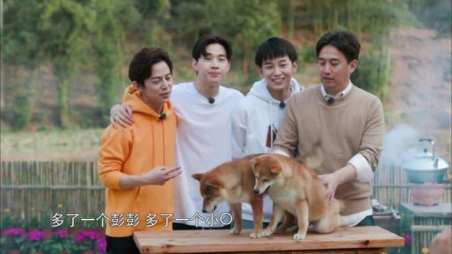 关于彭昱畅你不知道的事，争“番位”争到解约