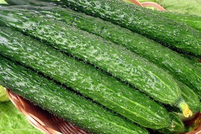 黄瓜咸菜的腌制方法，黄瓜咸菜的腌制方法视频（奶奶用了30年的腌黄瓜配方）