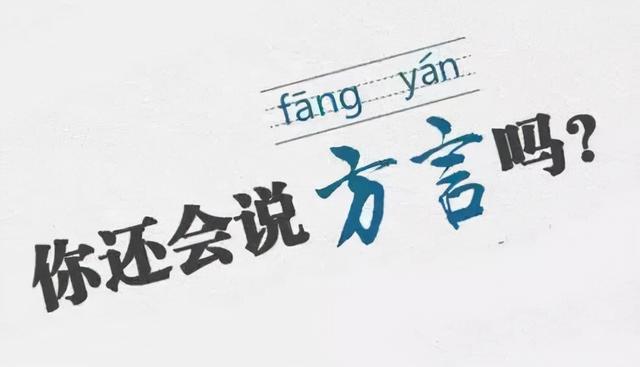 屎什么意思解释，屎字笔画笔顺（四川方言VS英语之可爱的小动物）