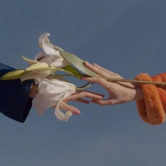 朋友圈壁纸+头像微信，朋友圈壁纸+头像（朋友圈背景图+头像套图）