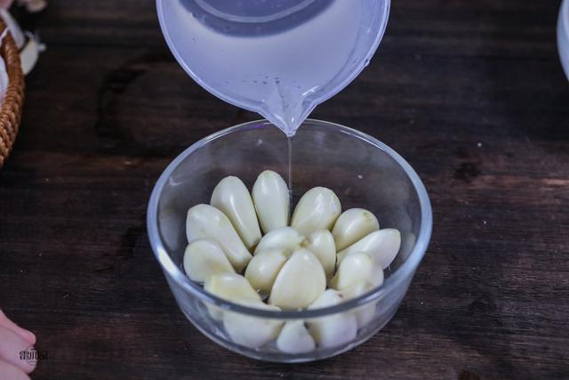 蒜苗的做法，蒜苔的做法大全家常菜视频（水培蒜苗原来这么简单）