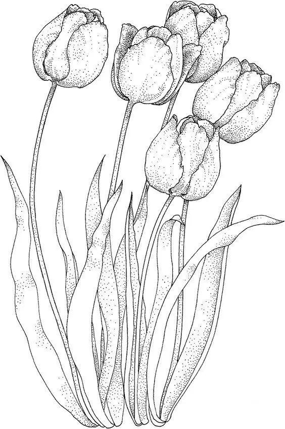 简单的花怎么画，如何画小花花简笔画（一朵花，简单的几笔就可以了）