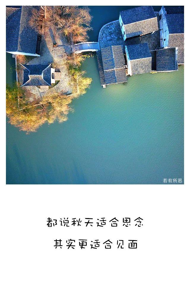 喜欢秋天的理由，我为什么喜欢秋天（秋天最像人生）