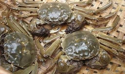 螃蟹怎么挑选，螃蟹怎么挑选才好（否则空壳还白花钱）