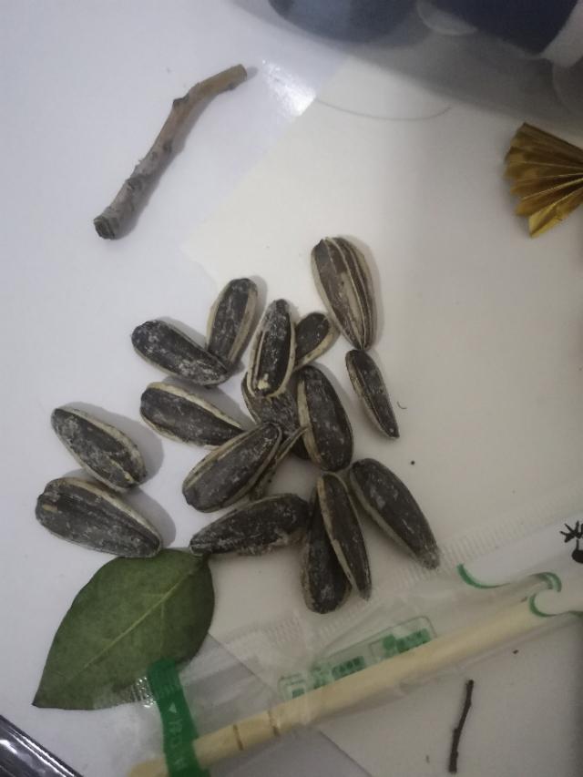 二年级手工制作，二年级手工作品（大家给个点评呗。。。）