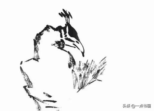画孔雀的简笔画，如何画孔雀简笔画（国画教程——孔雀画法）
