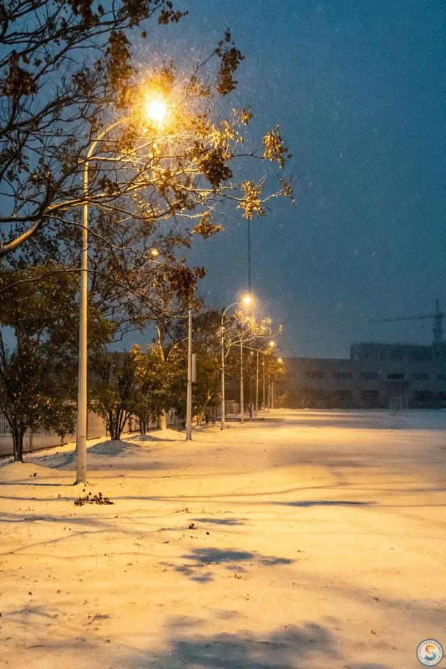 二本最差的大学金审学院，金审学院是几本（南京审计大学金审学院）