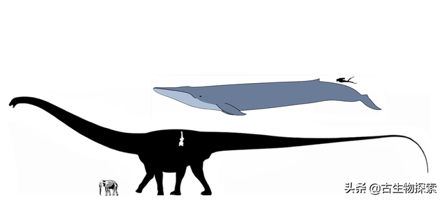 世界上有什么恐龙，世界上有几种恐龙（世界最大恐龙排行榜）