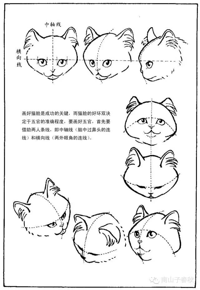 画猫动态技法百图,画小猫咪又简单又漂亮