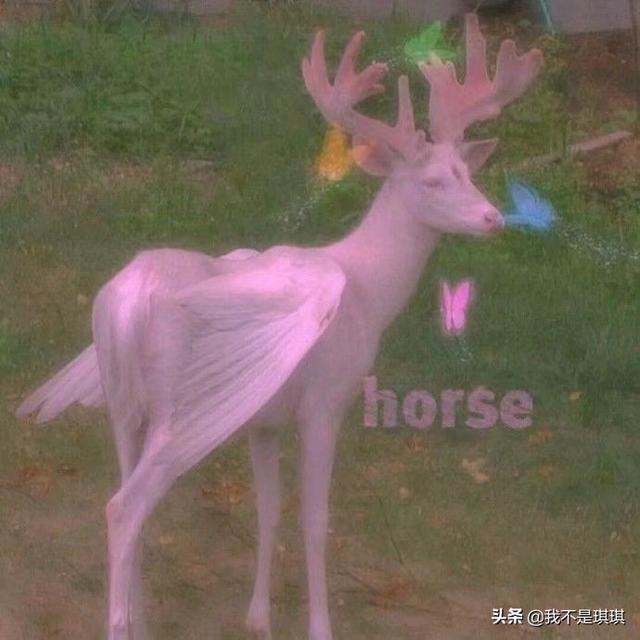 Gnasche网名，Gnasche(爱到入骨的悲哀)微信昵称（有哪些既高级又简单的网名）